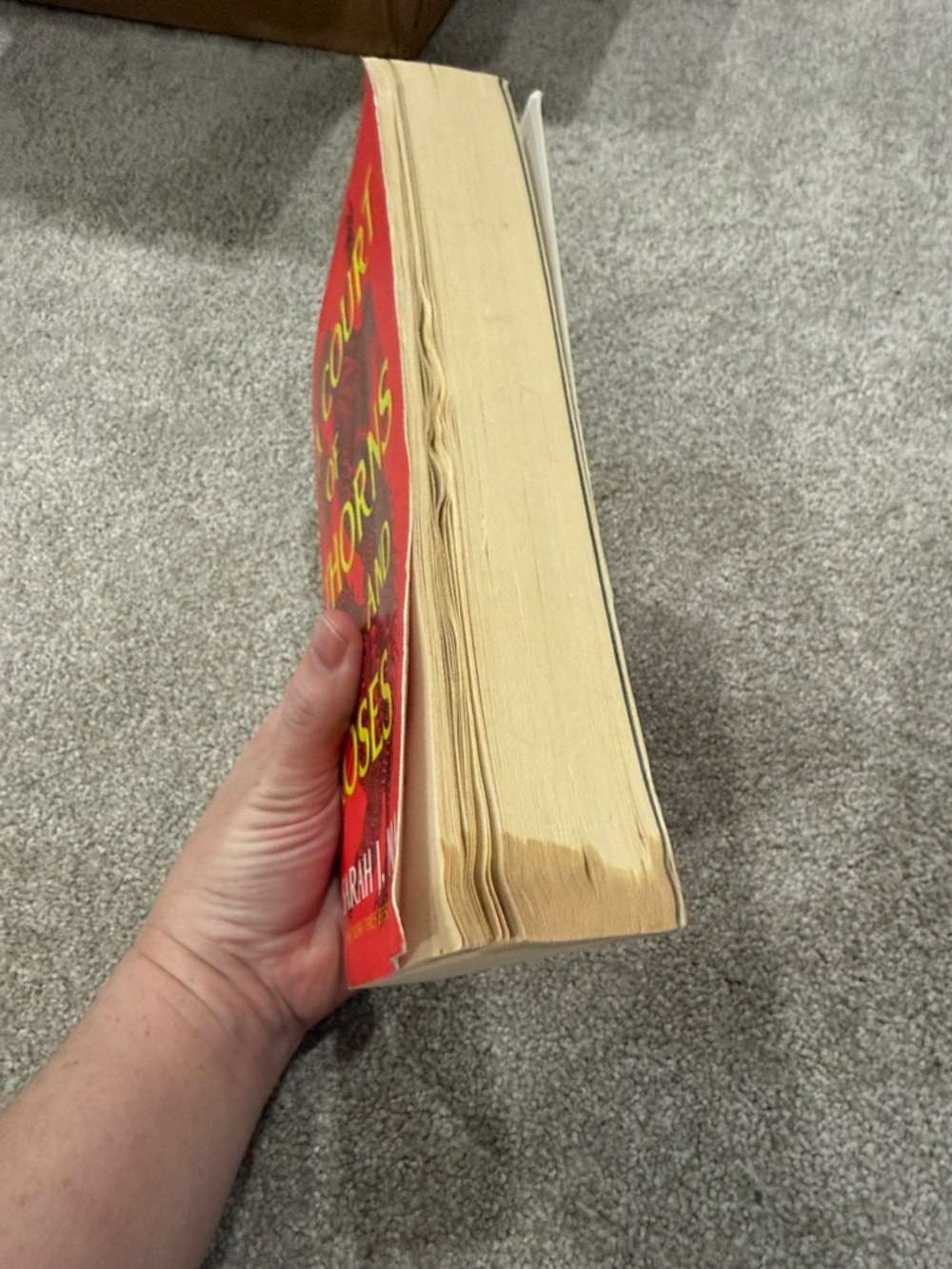 A Court of Thorns and Roses by Sarah J. Maas - Red Hardcover/Trade Paperback - Picture 3 of 4